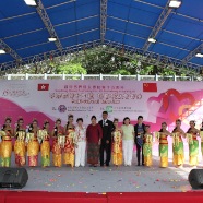 B05-IMG_2396.JPG